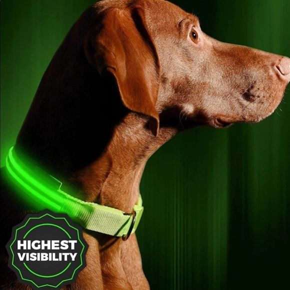 ILLUMISEEN LED Dog Collar USB Rechargeable – Bright & High Visibility Lighted